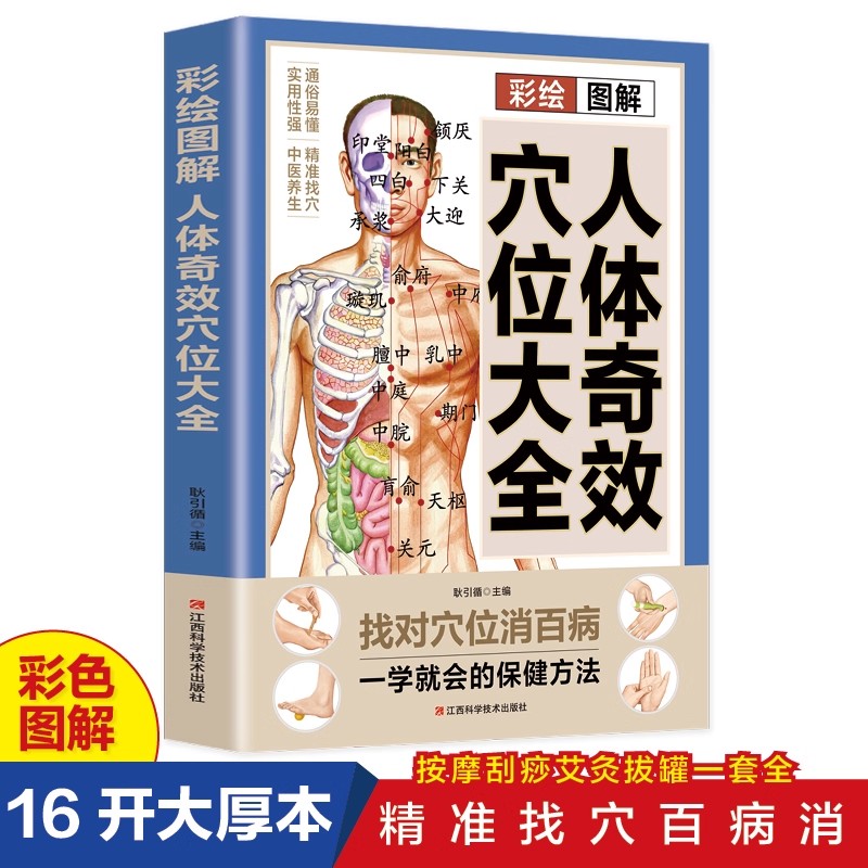 Health & Wellness Japan 2026 - Acupoint Massage & TCM Health Preservation