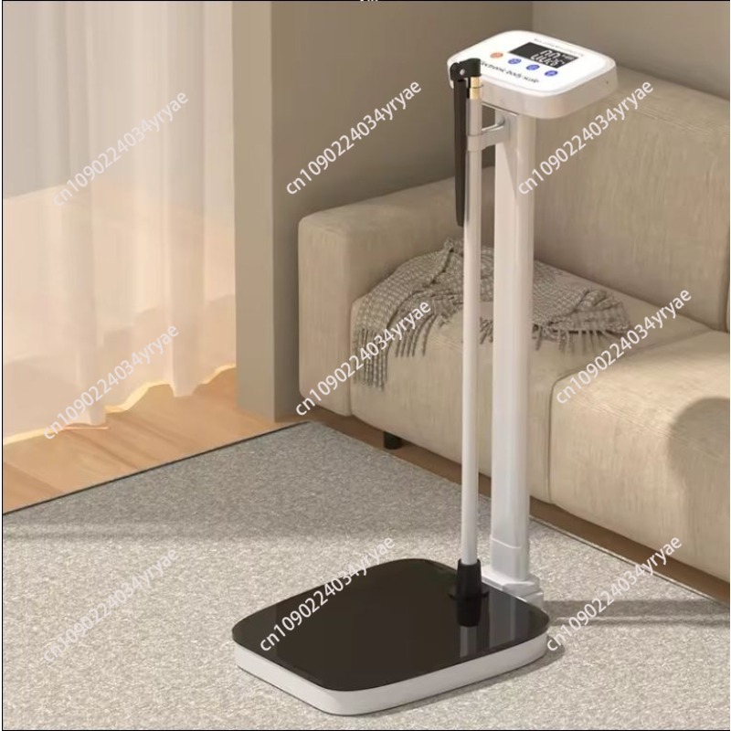 Smart body scale connection AP - Digital Body Weight Scale avaliação e preço