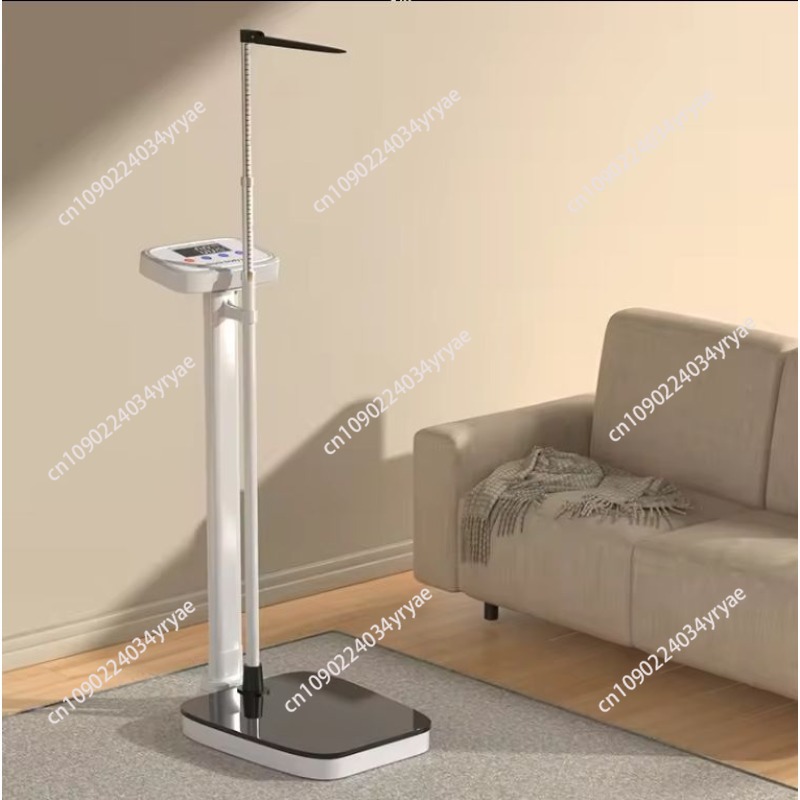 Smart body scale connection AP - Digital Body Weight Scale avaliação e preço