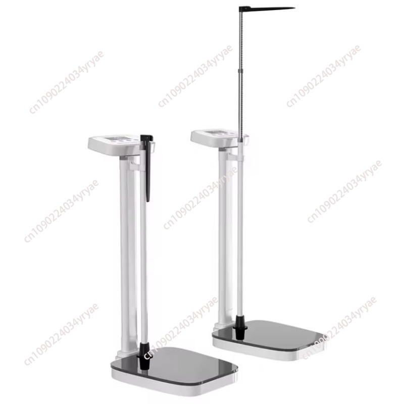 Smart body scale connection AP - Digital Body Weight Scale avaliação e preço