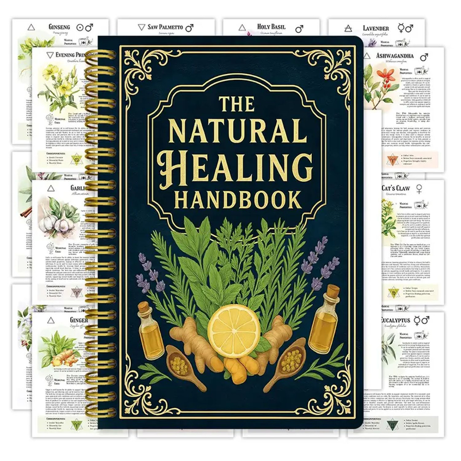 Natural Therapy Handbook, an E - Health & Wellness Japan 2026 avaliação e preço